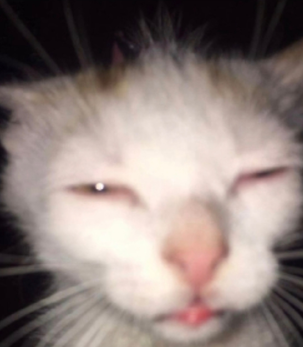 me
